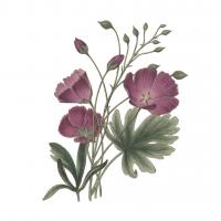 Monument Etching Tile Flowers III #53760 Monument Etching Tile Flowers III #53760