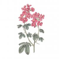 Monument Etching Tile Flowers IV #53761 Monument Etching Tile Flowers IV #53761
