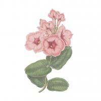 Monument Etching Tile Flowers VI #53762 Monument Etching Tile Flowers VI #53762