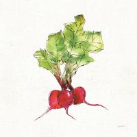 Veggie Market II Radish #53855 Veggie Market II Radish #53855