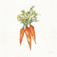 Veggie Market V Carrots #54071 Veggie Market V Carrots #54071