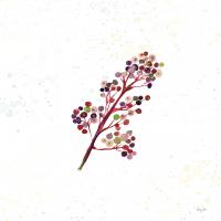 Botticelli Plants IV #54045 Botticelli Plants IV #54045