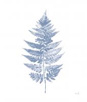 Fern Print I Blue No Shiplap #54078 Fern Print I Blue No Shiplap #54078
