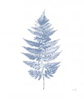 Fern Print I Blue No Shiplap #54078