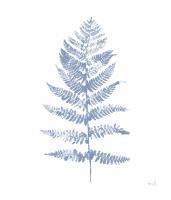 Fern Print II Blue No Shiplap #54079 Fern Print II Blue No Shiplap #54079