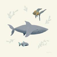 Ocean Life Shark #54180 Ocean Life Shark #54180