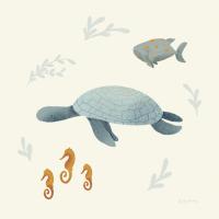 Ocean Life Sea Turtle #54183
