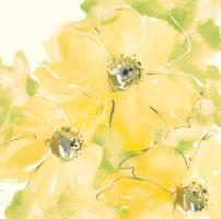 Sunshine Cosmos I v2 #54245 Sunshine Cosmos I v2 #54245