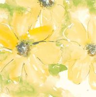 Sunshine Cosmos II v2 #54246 Sunshine Cosmos II v2 #54246