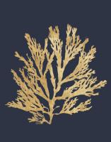 Pacific Sea Mosses I Indigo #54247 Pacific Sea Mosses I Indigo #54247