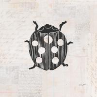 Ladybug Stamp BW #54281 Ladybug Stamp BW #54281