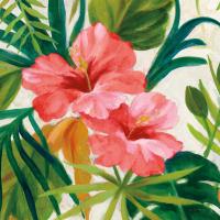Tropical Jewels II v2 Pink Crop #54293 Tropical Jewels II v2 Pink Crop #54293