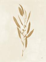 Botanical Study I Gold Crop #54311 Botanical Study I Gold Crop #54311