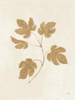 Botanical Study III Gold Crop #54313 Botanical Study III Gold Crop #54313