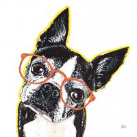 Bespectacled Pet IV #54790 Bespectacled Pet IV #54790