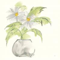Plant Daisy I #55017 Plant Daisy I #55017