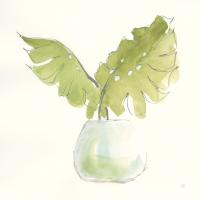 Plant Big Leaf II #55027 Plant Big Leaf II #55027