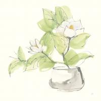 Plant Magnolia I #55040