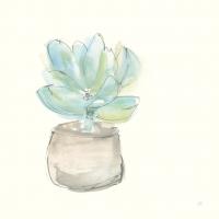 Succulent I #55049 Succulent I #55049