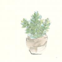 Succulent II #55050 Succulent II #55050