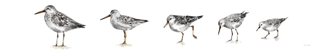Pebbles and Sandpipers IX Gray No Words Border #55297 Pebbles and Sandpipers IX Gray No Words Border #55297