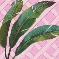 Mixed Greens LXXIV on Pink #55311 Mixed Greens LXXIV on Pink #55311