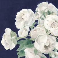 Peonies on Navy #55336 Peonies on Navy #55336