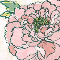Camilles Peony Pink #55550 Camilles Peony Pink #55550