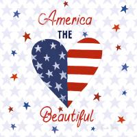 America the Beautiful II Square #55651 America the Beautiful II Square #55651
