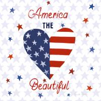 America the Beautiful II Square #55651