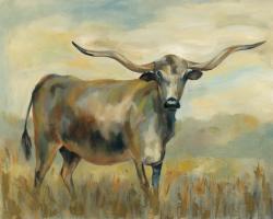 Longhorn Cow #55653