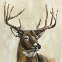 Bronze Deer #55654