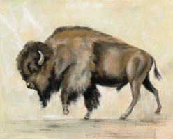 Bronze Buffalo #55655 Bronze Buffalo #55655