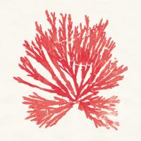 Pacific Sea Mosses II Red #55917