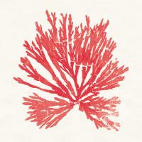 Pacific Sea Mosses II Red #55917 Pacific Sea Mosses II Red #55917