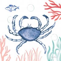 Coastal Jewels V Coral Cove #55927 Coastal Jewels V Coral Cove #55927