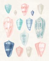 Colorful Shell Assortment I Coral Cove #55929 Colorful Shell Assortment I Coral Cove #55929
