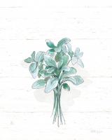 Farmhouse Cotton VI No Words #56042 Farmhouse Cotton VI No Words #56042