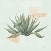 Desert Color Succulent I Mint #56050