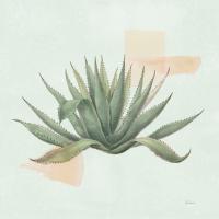 Desert Color Succulent I Mint #56050 Desert Color Succulent I Mint #56050