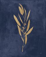 Botanical Study I Gold Navy #56063