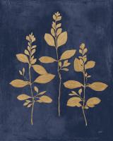 Botanical Study IV Gold Navy #56064 Botanical Study IV Gold Navy #56064