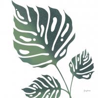 Monstera IV White #56168