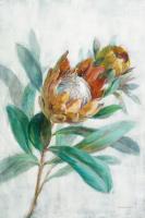 Tropical Protea #56275 Tropical Protea #56275