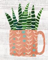 Succulent Cup Neutral Crop #56299 Succulent Cup Neutral Crop #56299