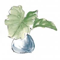 Plant Big Leaf I Dark Green #56346 Plant Big Leaf I Dark Green #56346