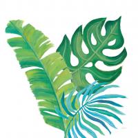 Coconut Palm VII #56375 Coconut Palm VII #56375
