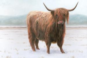 King of the Highland Fields #56445 King of the Highland Fields #56445