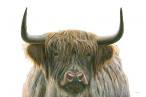 Highlander #56447 Highlander #56447