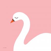 Swan #56456